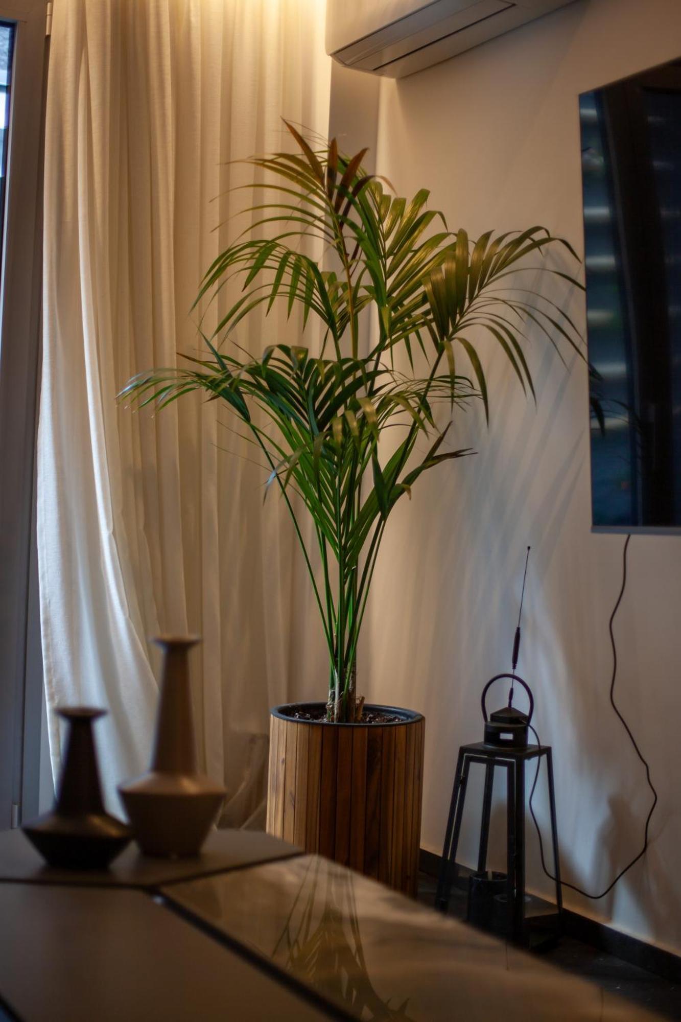 Carmen's Cozy&luxury Apartment! Apartment *